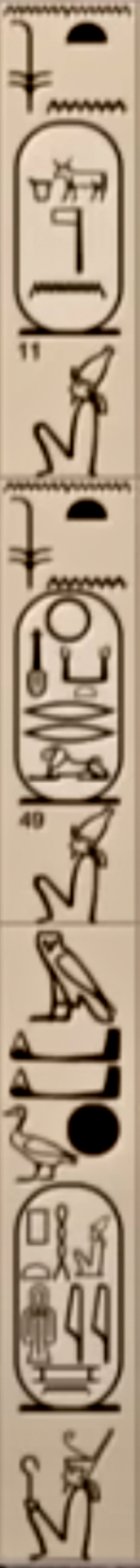 Abydos Kings List: Cartouches 11 and 49 spine